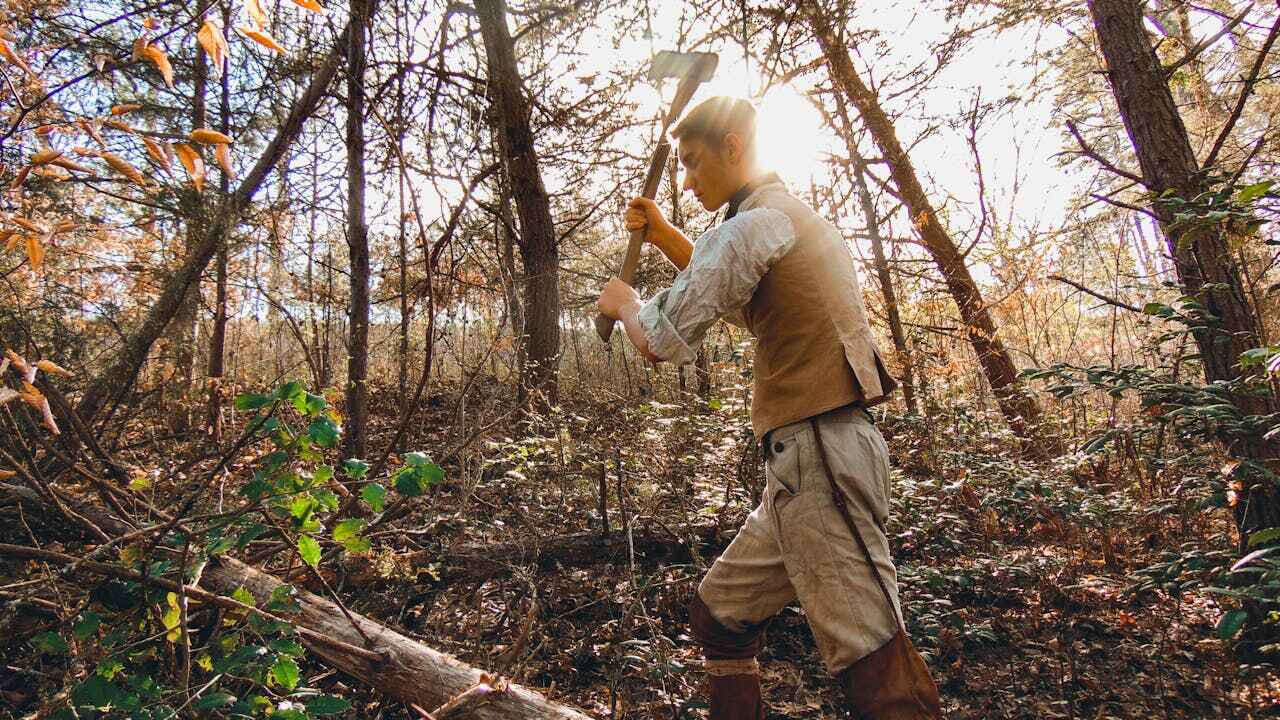 Residential Tree Removal